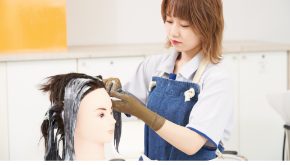 ヘアカラーの実習イメージ